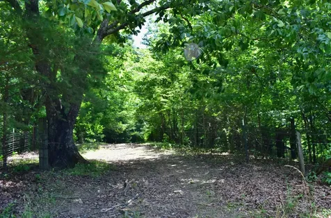 1319 Ideal Valley Road Spring City TN 37381
