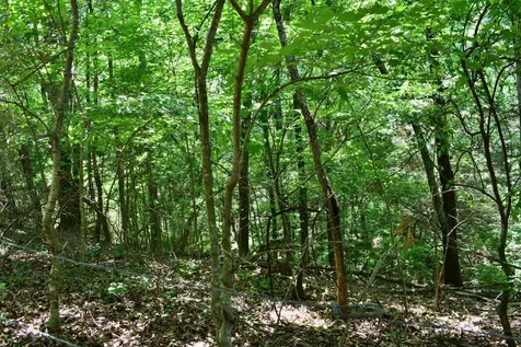 1319 Ideal Valley Road Spring City TN 37381