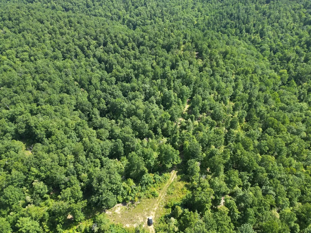 0 Black Bear Trail Road Linden TN 37096