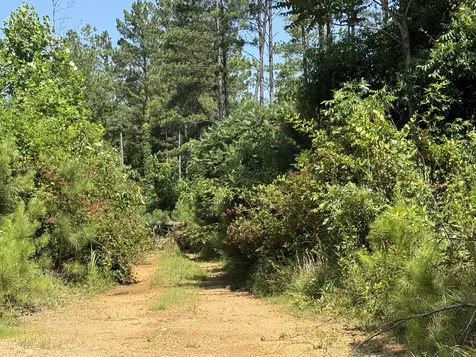0 Black Bear Trail Road Linden TN 37096