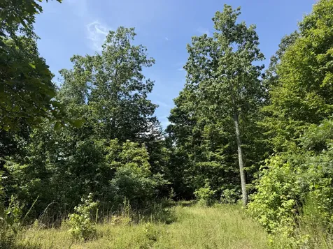 0 Black Bear Trail Road Linden TN 37096