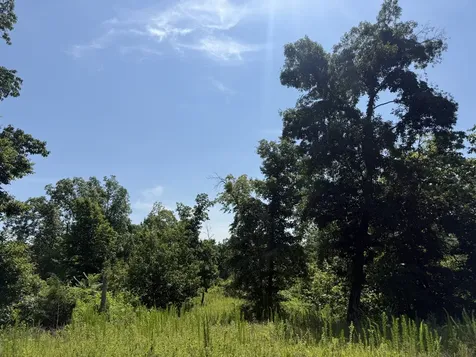 0 Black Bear Trail Road Linden TN 37096