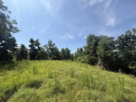 0 Black Bear Trail Road Linden TN 37096