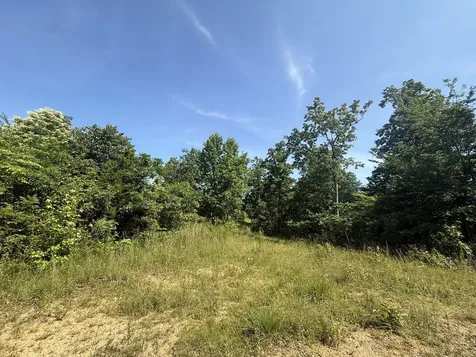 0 Black Bear Trail Road Linden TN 37096