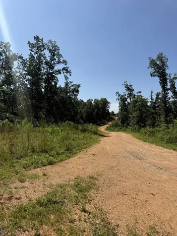 0 Black Bear Trail Road Linden TN 37096