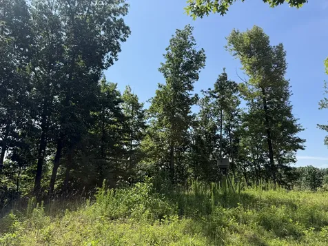 0 Black Bear Trail Road Linden TN 37096
