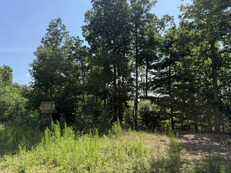 0 Black Bear Trail Road Linden TN 37096