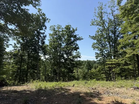 0 Black Bear Trail Road Linden TN 37096