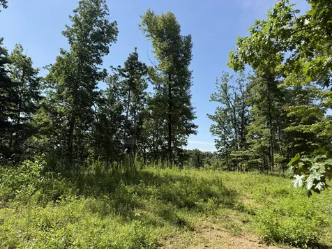 0 Black Bear Trail Road Linden TN 37096