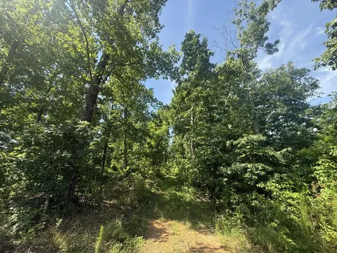 0 Black Bear Trail Road Linden TN 37096