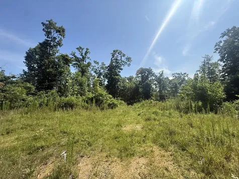 0 Black Bear Trail Road Linden TN 37096