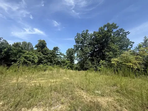 0 Black Bear Trail Road Linden TN 37096