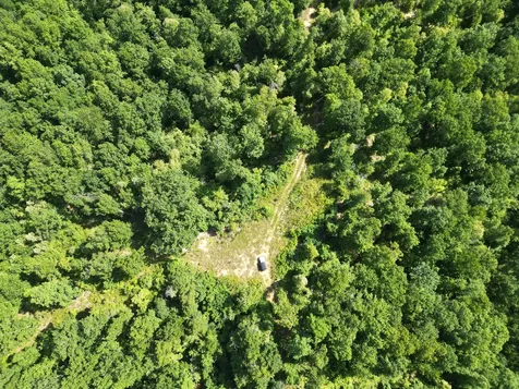 0 Black Bear Trail Road Linden TN 37096