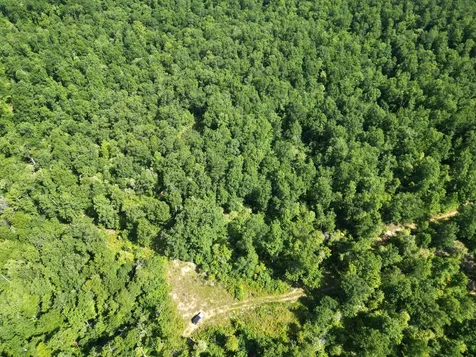 0 Black Bear Trail Road Linden TN 37096