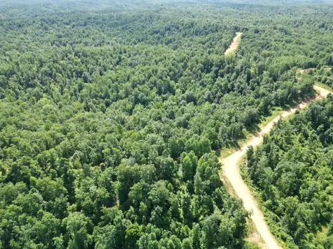 0 Black Bear Trail Road Linden TN 37096