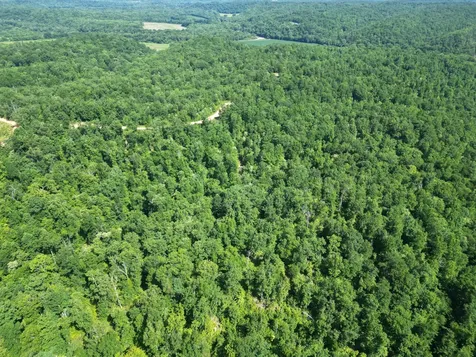 0 Black Bear Trail Road Linden TN 37096