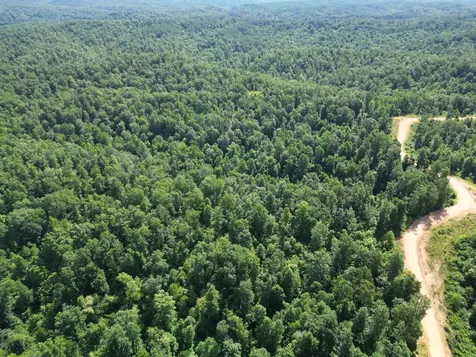 0 Black Bear Trail Road Linden TN 37096