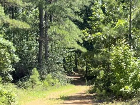 0 Black Bear Trail Road Linden TN 37096