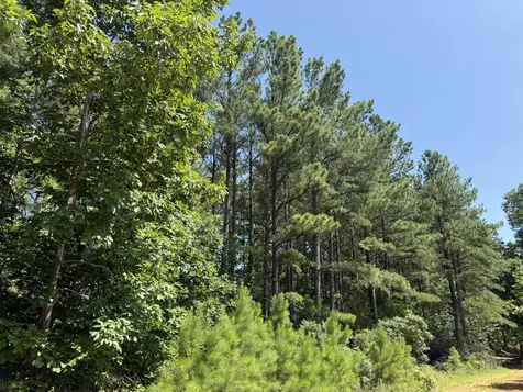 0 Black Bear Trail Road Linden TN 37096