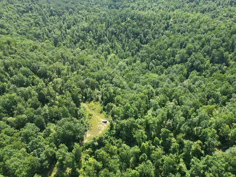 0 Black Bear Trail Road Linden TN 37096