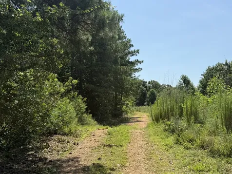 0 Black Bear Trail Road Linden TN 37096