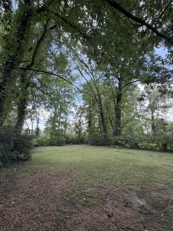 16 Woodvale Avenue Chattanooga TN 37411