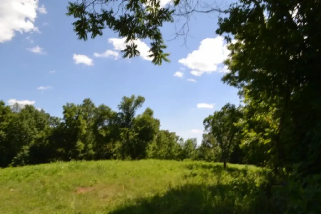 0 Pea Ridge Fire Tower Road Celina TN 38551