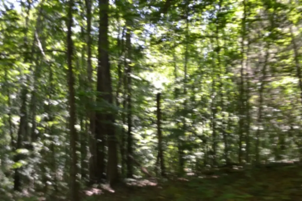 0 Pea Ridge Fire Tower Road Celina TN 38551