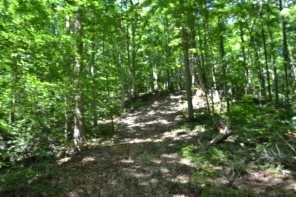 0 Pea Ridge Fire Tower Road Celina TN 38551