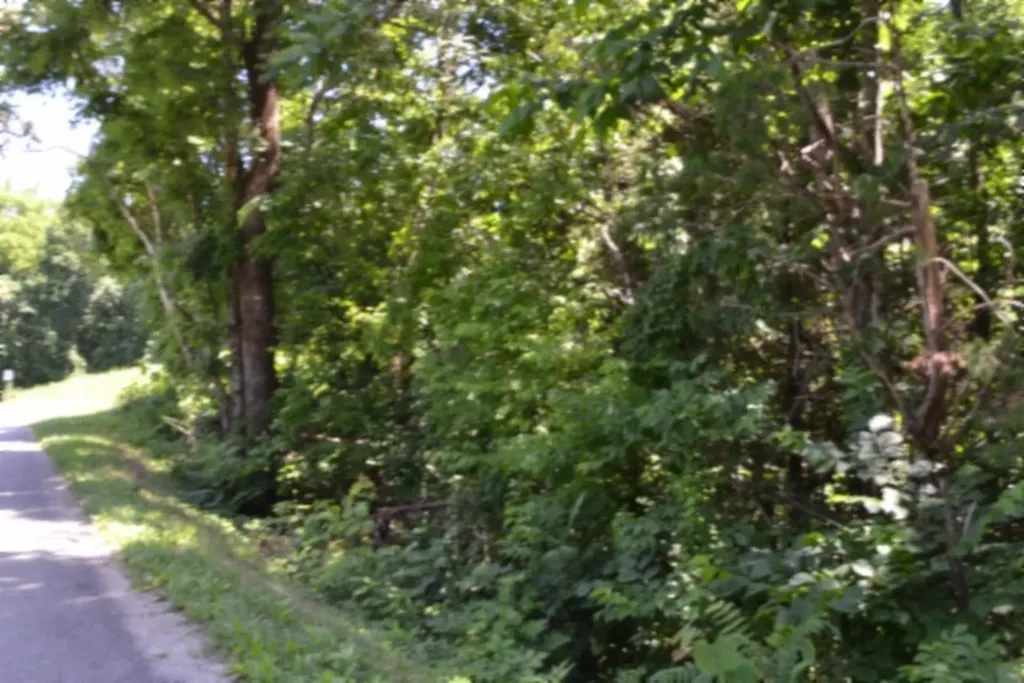 0 Pea Ridge Fire Tower Road Celina TN 38551