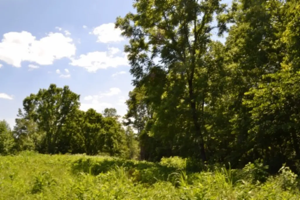 0 Pea Ridge Fire Tower Road Celina TN 38551
