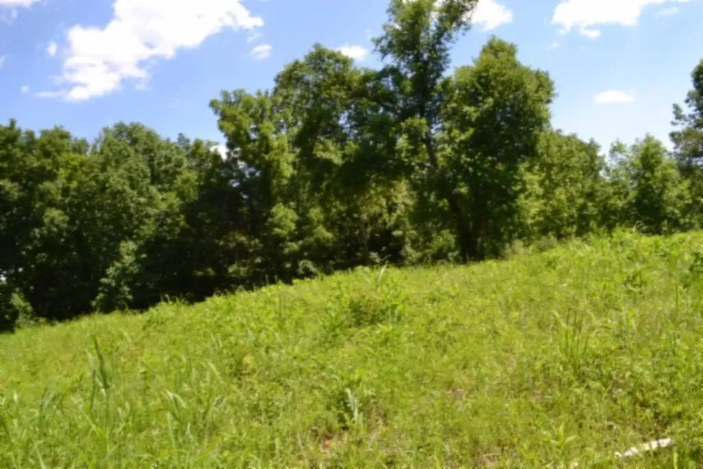 0 Pea Ridge Fire Tower Road Celina TN 38551