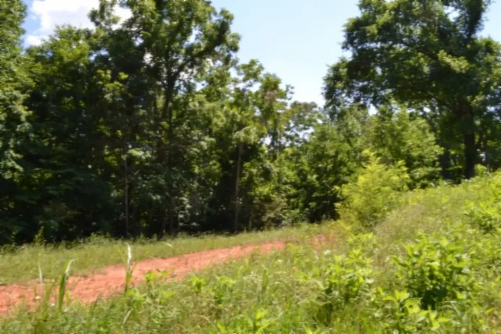 0 Pea Ridge Fire Tower Road Celina TN 38551
