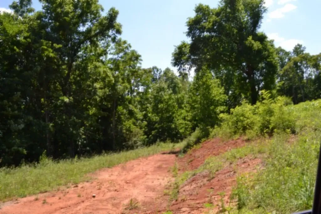 0 Pea Ridge Fire Tower Road Celina TN 38551