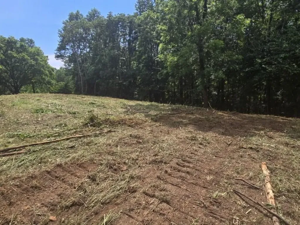 0 Pea Ridge Fire Tower Road Celina TN 38551