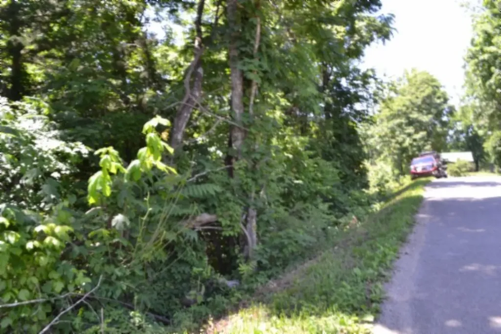 0 Pea Ridge Fire Tower Road Celina TN 38551