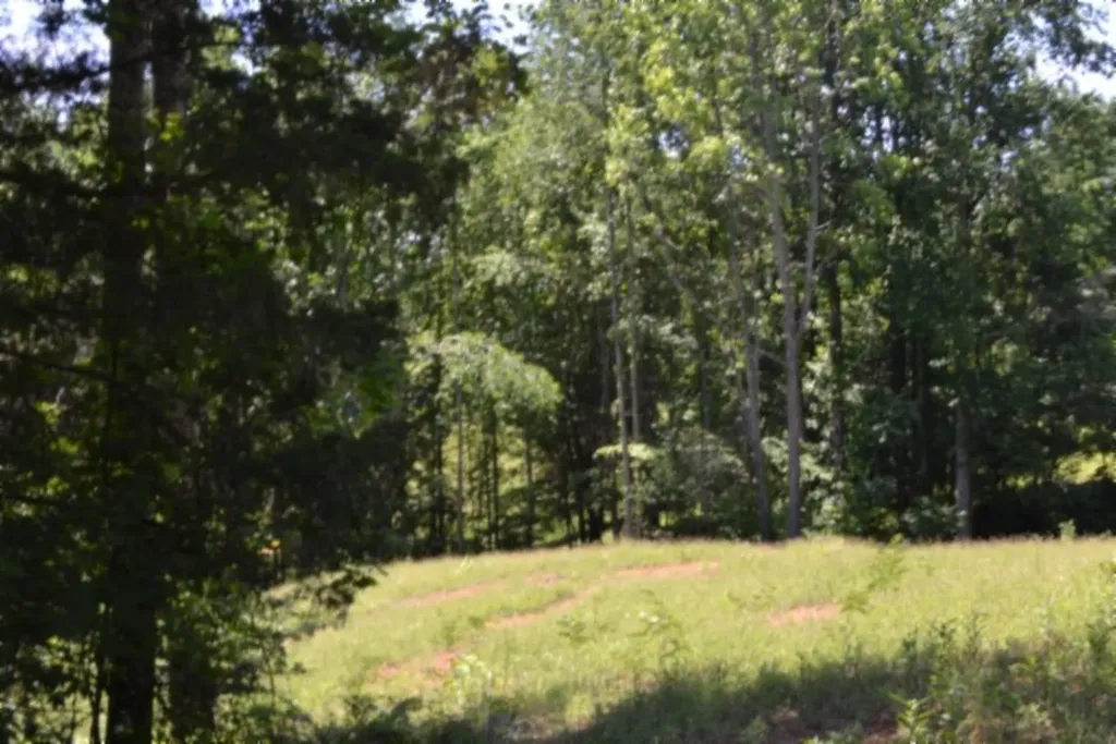 0 Pea Ridge Fire Tower Road Celina TN 38551