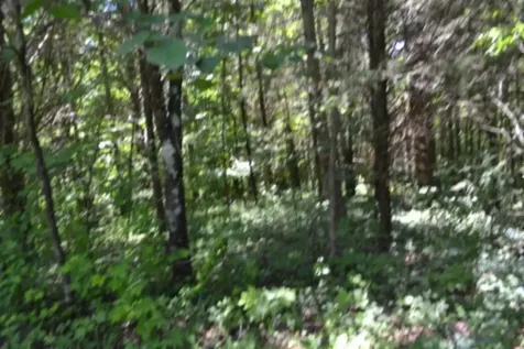 0 Pea Ridge Fire Tower Road Celina TN 38551