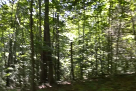 0 Pea Ridge Fire Tower Road Celina TN 38551