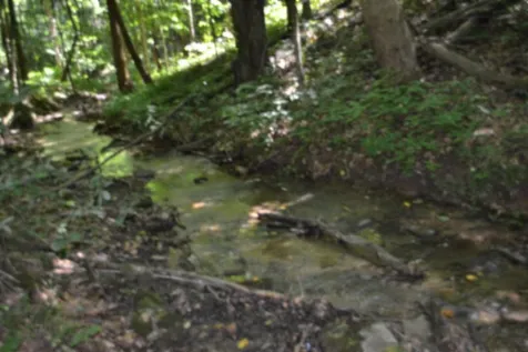 0 Pea Ridge Fire Tower Road Celina TN 38551