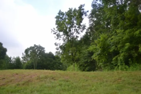 0 Pea Ridge Fire Tower Road Celina TN 38551