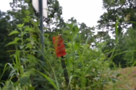 0 Pea Ridge Fire Tower Road Celina TN 38551