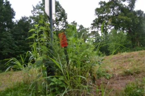 0 Pea Ridge Fire Tower Road Celina TN 38551