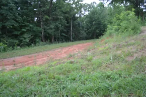 0 Pea Ridge Fire Tower Road Celina TN 38551