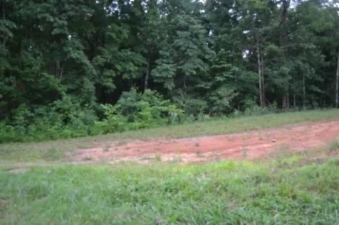 0 Pea Ridge Fire Tower Road Celina TN 38551