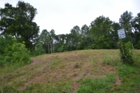 0 Pea Ridge Fire Tower Road Celina TN 38551