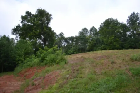 0 Pea Ridge Fire Tower Road Celina TN 38551