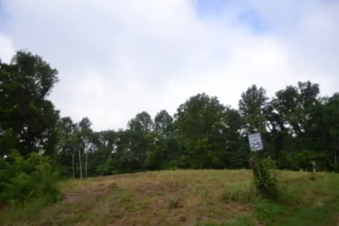 0 Pea Ridge Fire Tower Road Celina TN 38551