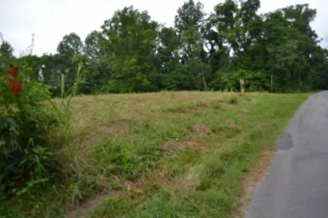 0 Pea Ridge Fire Tower Road Celina TN 38551