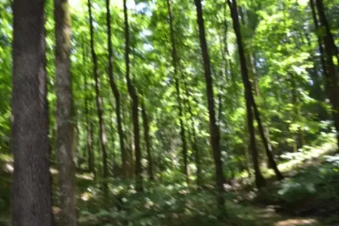 0 Pea Ridge Fire Tower Road Celina TN 38551
